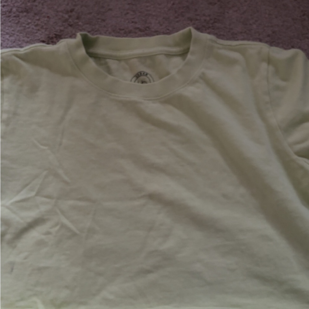 BDG Pale Green Cropped Tee